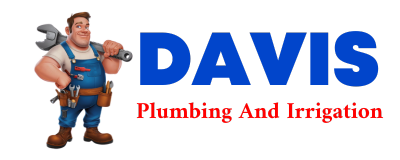 Trusted plumber in BOSWELL